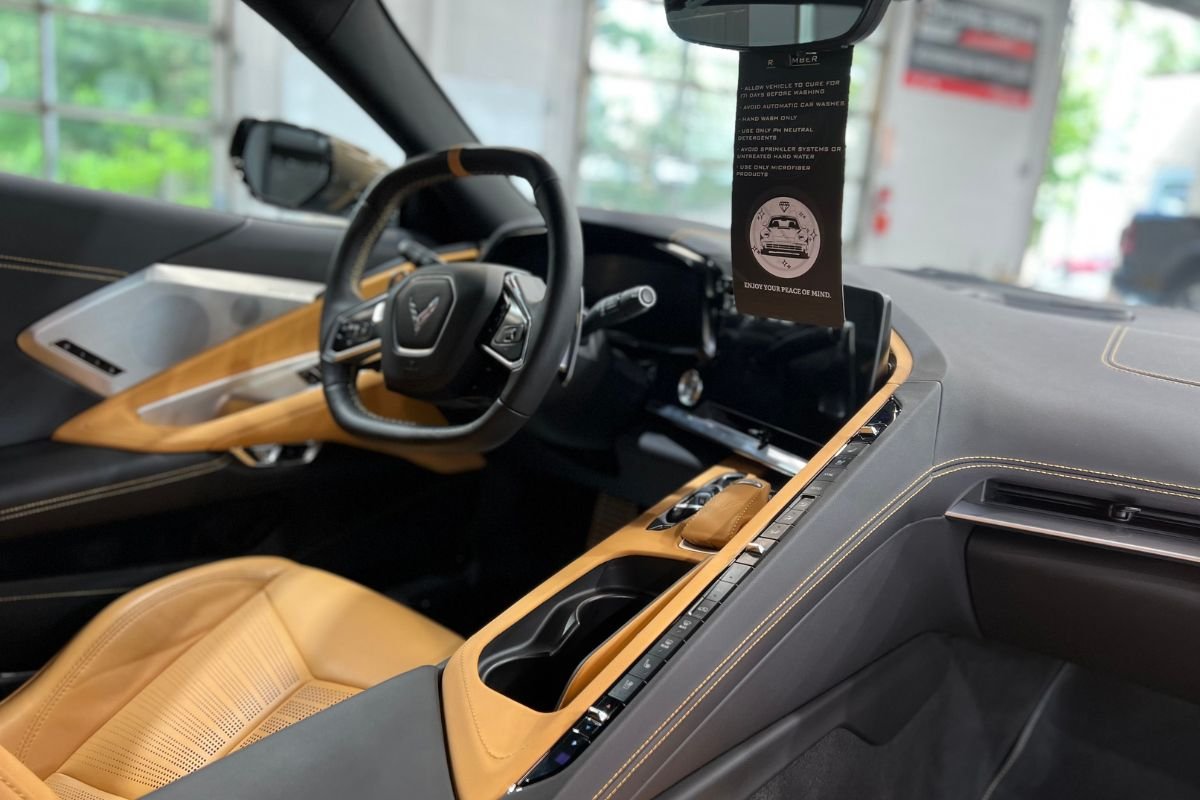 understanding the mold and stain problem in cars